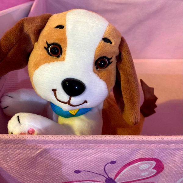 М'яка колекційна іграшка Собачка Мама Бігль #sbabam 67/CN-2020-2 з сюрпризом (67/CN-2020-2)