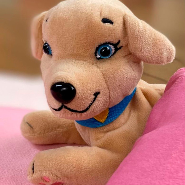 М'яка колекційна іграшка Собачка Мама Ретривер #sbabam 67/CN-2020-3 з сюрпризом (67/CN-2020-3)