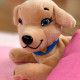 М'яка колекційна іграшка Собачка Мама Ретривер #sbabam 67/CN-2020-3 з сюрпризом (67/CN-2020-3)