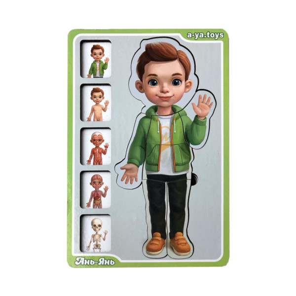 Дерев'яний пазл-вкладиш "Анатомія людини – хлопчик" Ubumblebees (ПСФ026) PSF026 будова тіла (PSF026)