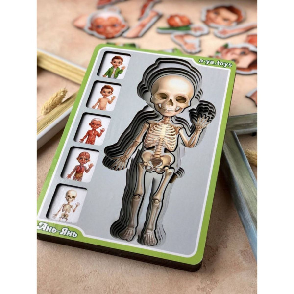 Дерев'яний пазл-вкладиш "Анатомія людини – хлопчик" Ubumblebees (ПСФ026) PSF026 будова тіла (PSF026)