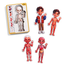 Дерев'яний пазл-вкладиш "Анатомія людини - хлопчик-2" (ПСД261) PSD261 будова тіла (PSD261)