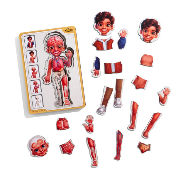 Дерев'яний пазл-вкладиш "Анатомія людини - хлопчик-2" (ПСД261) PSD261 будова тіла (PSD261)