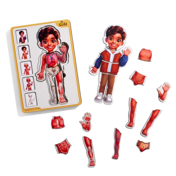 Дерев'яний пазл-вкладиш "Анатомія людини - хлопчик-2" (ПСД261) PSD261 будова тіла (PSD261)