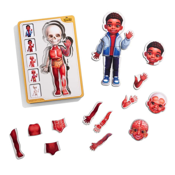 Дерев'яний пазл-вкладиш "Анатомія людини - хлопчик-3" (ПСД262) PSD262 будова тіла (PSD262)