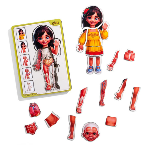 Дерев'яний пазл-вкладиш "Анатомія людини - дівчинка-2" (ПСД263) PSD263 будова тіла (PSD263)