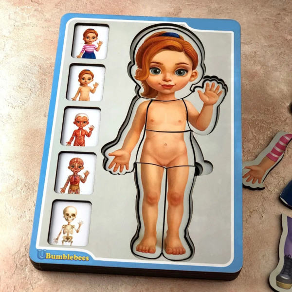 Дерев'яний пазл-вкладиш "Анатомія людини – дівчинка" Ubumblebees (ПСФ025) PSF025 будова тіла (PSF025)