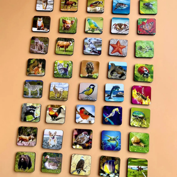 Настільна розвиваюча гра "Види тварин" Ubumblebees (ПСФ110) PSF110 комодик-сортер (PSF110)