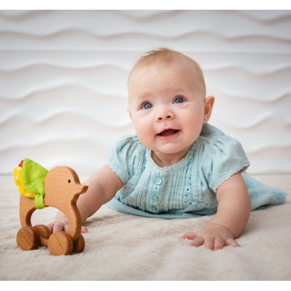 Дерев'яна каталка "Каченя" МС 061102-02