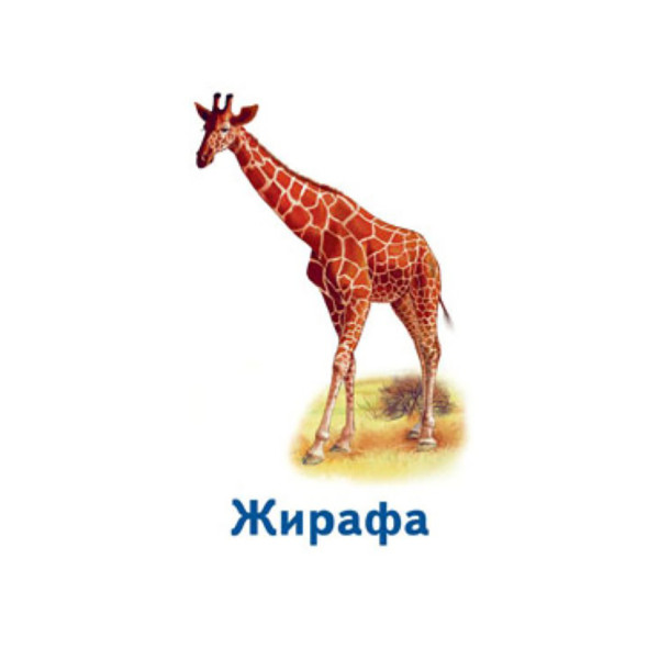 Настільна гра Парочки: Світ тварин 1392003, 6 ігор (1392003)