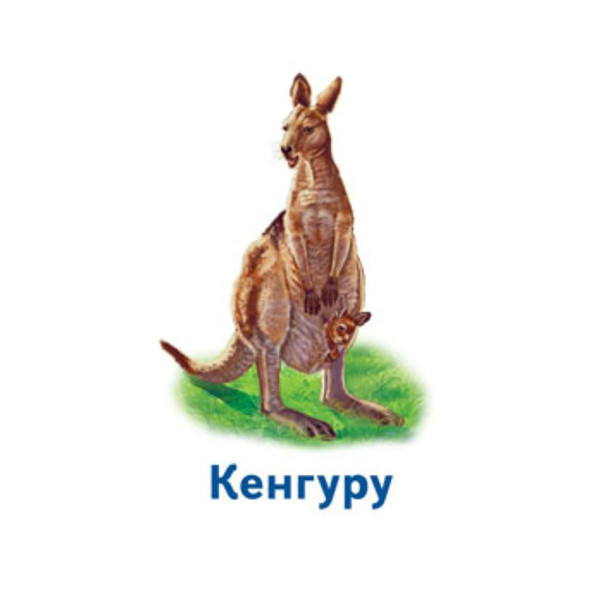 Настільна гра Парочки: Світ тварин 1392003, 6 ігор (1392003)