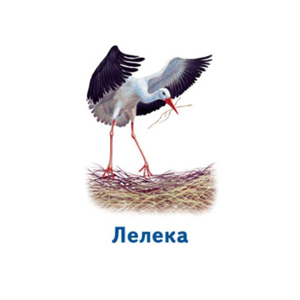 Настільна гра Парочки: Світ тварин 1392003, 6 ігор (1392003)