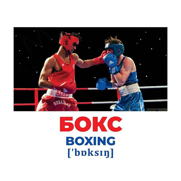 Набір розвиваючих карток Геній з пелюшок Види спорту 10107204, 17 карток (10107204)