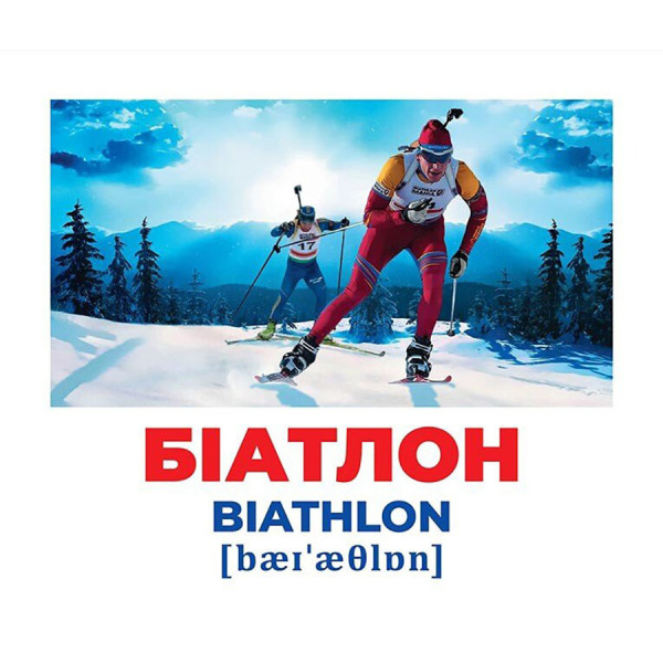 Набір розвиваючих карток Геній з пелюшок Види спорту 10107204, 17 карток (10107204)