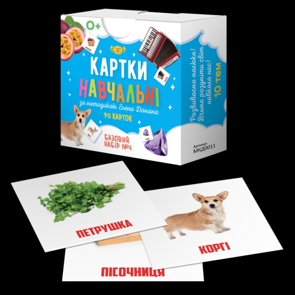 Картки навчальні Глена Домана №4 Майстер MKD0011 рус