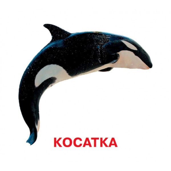 Розвиваючі картки для дітей Хто у воді живе J802у, 18 картинок (J802у)