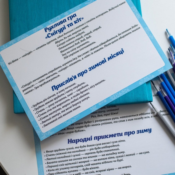 Дидактичний матеріал "Зимові спостереження" 13107147, 16 карток (13107147)