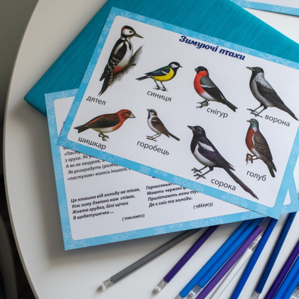Дидактичний матеріал "Зимові спостереження" 13107147, 16 карток (13107147)