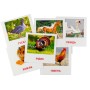 Розвиваючі картки "Домашні тварини" (110х110 мм) 65945 укр./англ. мовою