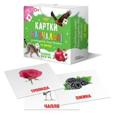 Картки навчальні Глена Домана №6 Майстер MKD0013 укр (MKD0013)