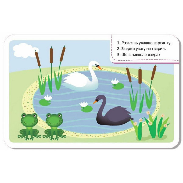 Дитячі розвивальні картки "Світ довкола" 1664001, 20 карток (1664001)