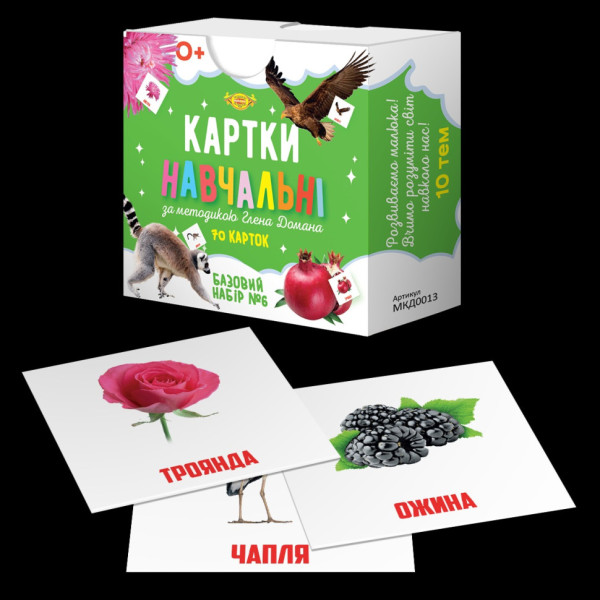 Картки навчальні Глена Домана №6 Майстер MKD0013 укр