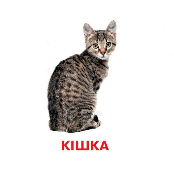 Розвиваючі картки для дітей Домашні тварини J012yD, 18 картинок (J012yD)