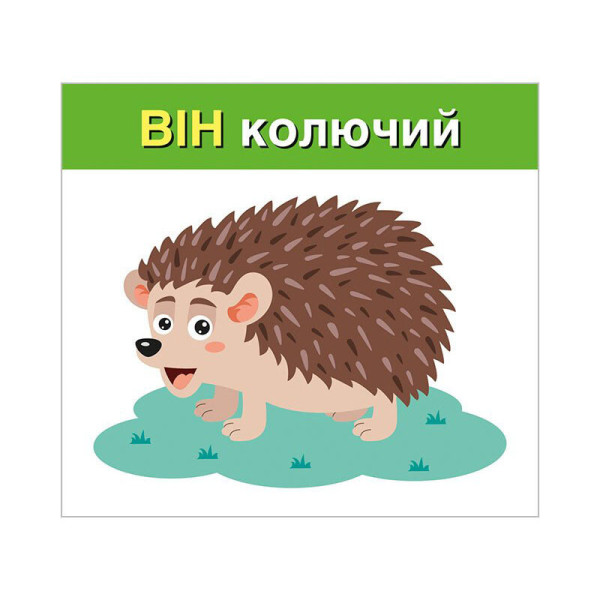 Навчальні картки "Вивчаємо займенники ВІН, ВОНА, ВОНО, ВОНИ" 10109168, 15 карток (10109168)