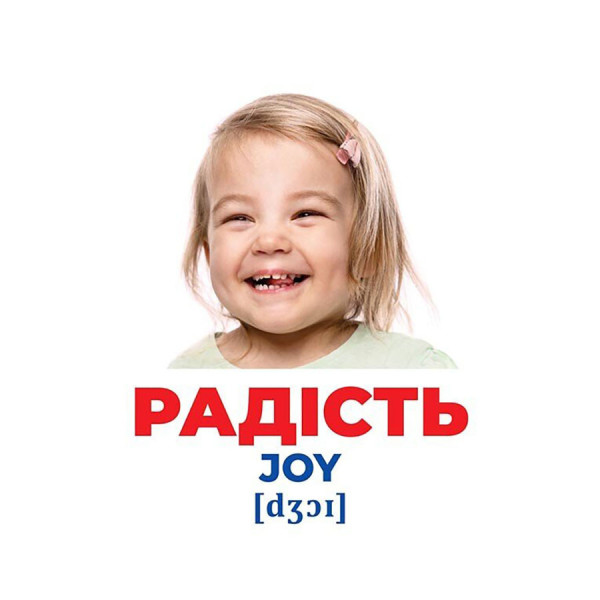 Набір розвиваючих карток Геній з пелюшок Емоції та почуття 10107208, 17 карток (10107208)