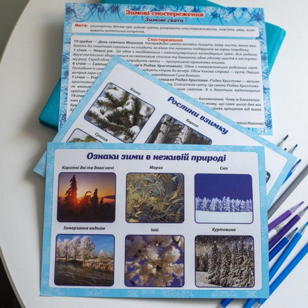 Дидактический материал "Зимние наблюдения" 13107147, 16 карточек(13107147)