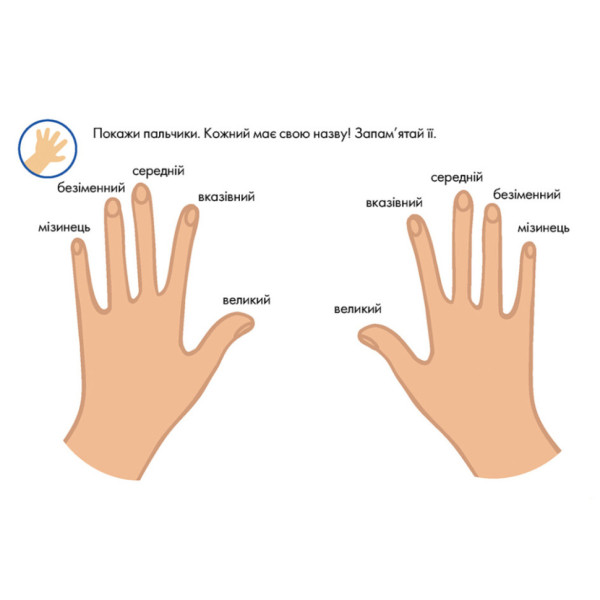 Багаторазові прописи "Тренажер для рук" 1155004, 31 картка (1155004)