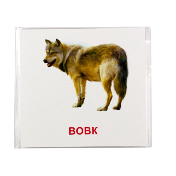 Розвиваючі картки "Лісові мешканці" (110х110 мм) 66425  укр. /англ. мовою (66425)