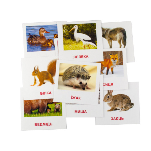Розвиваючі картки "Лісові мешканці" (110х110 мм) 66425  укр. /англ. мовою (66425)