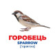 Набір розвиваючих карток Геній з пелюшок "Птахи України" Ранок 10107193У, 17 карток (10107193)