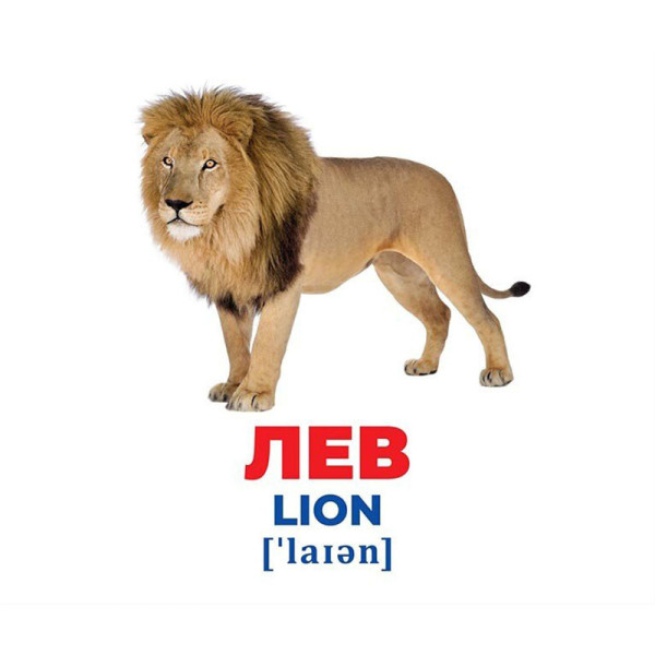 Набір розвиваючих карток Геній з пелюшок "Тварини різних широт" 10107200, 17 карток (10107200)