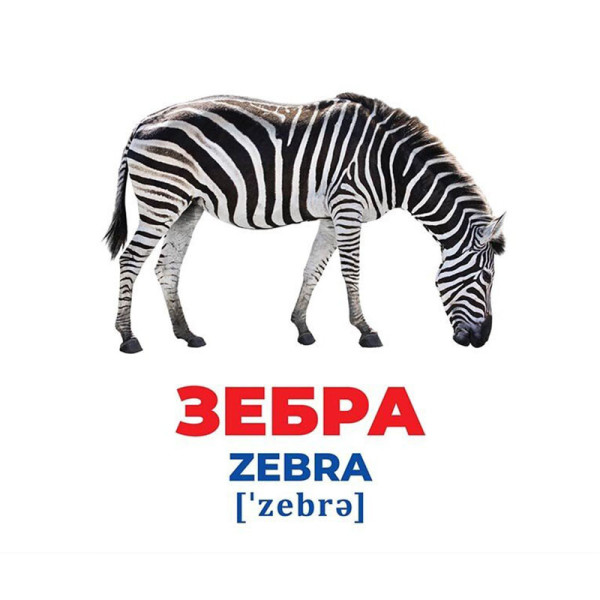 Набір розвиваючих карток Геній з пелюшок "Тварини різних широт" 10107200, 17 карток (10107200)