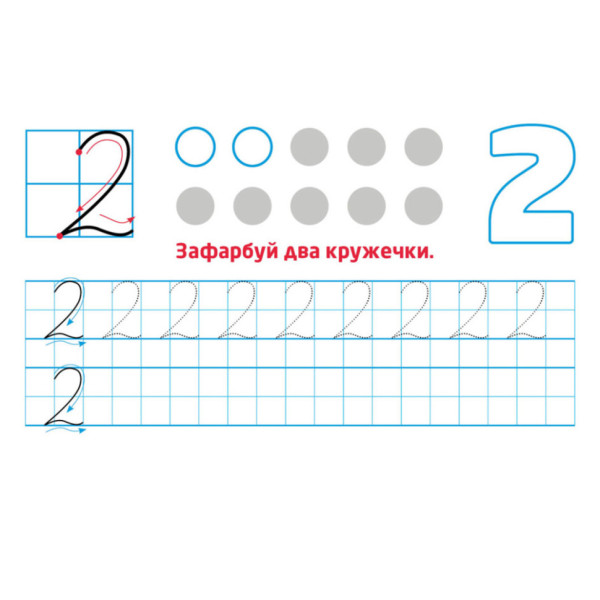 Багаторазові прописи "Цифри та числа" 1155003, 31 картка (1155003)