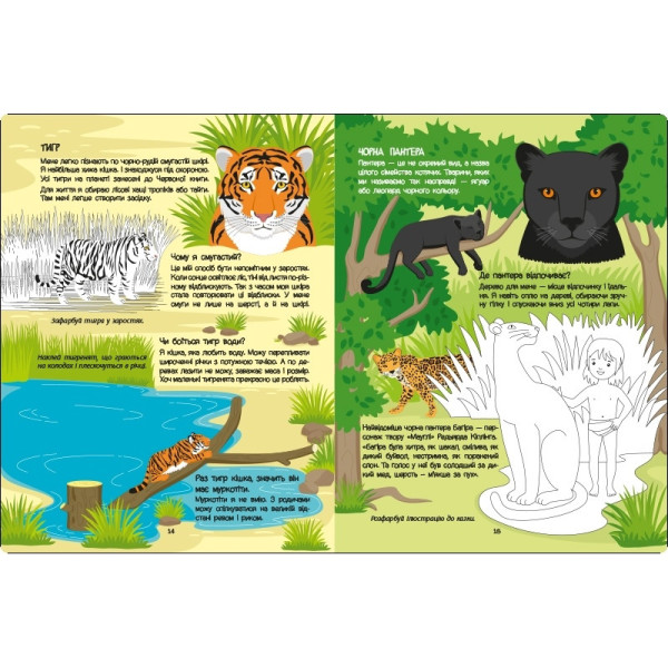 Розвиваючий зошит "Червона книга про хижаків" 15207 з наклейками (15207)