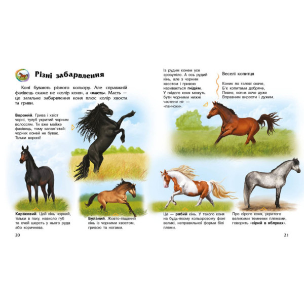 Енциклопедія дошкільника Коні 614037 для найменших (614037)