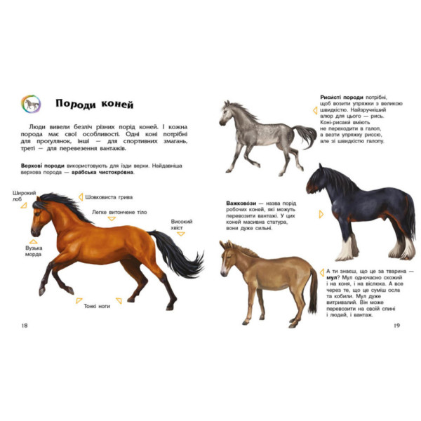 Енциклопедія дошкільника Коні 614037 для найменших (614037)