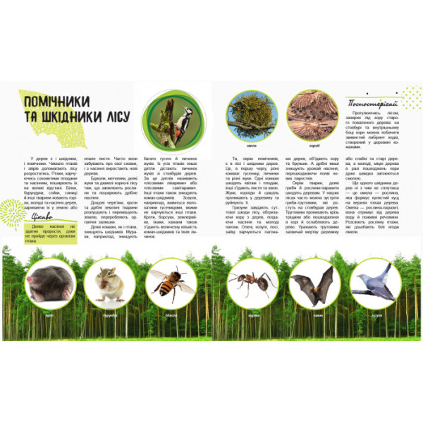 Дитяча книга " Світ і його таємниці: Життя лісу" 740002 укр. мовою (740002)