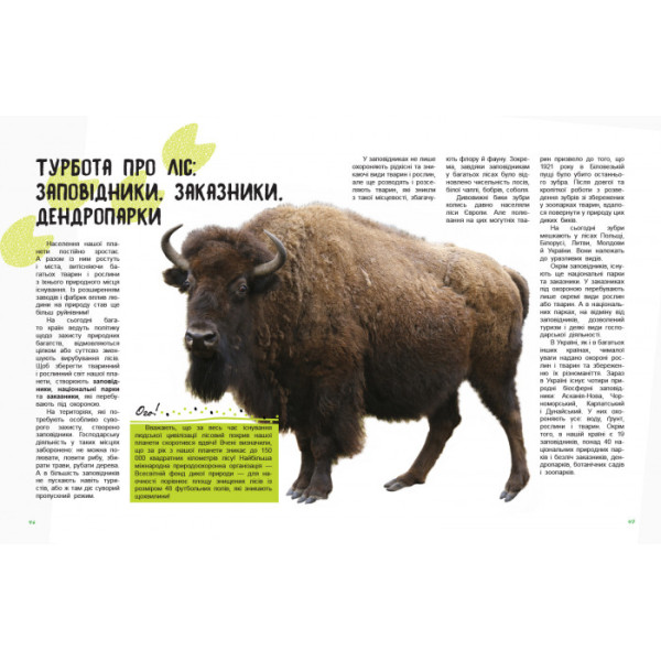 Дитяча книга " Світ і його таємниці: Життя лісу" 740002 укр. мовою (740002)