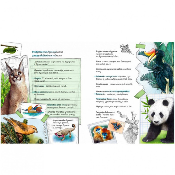 Книга "Експедиція за дивовижними тваринами" 152961 (154064)