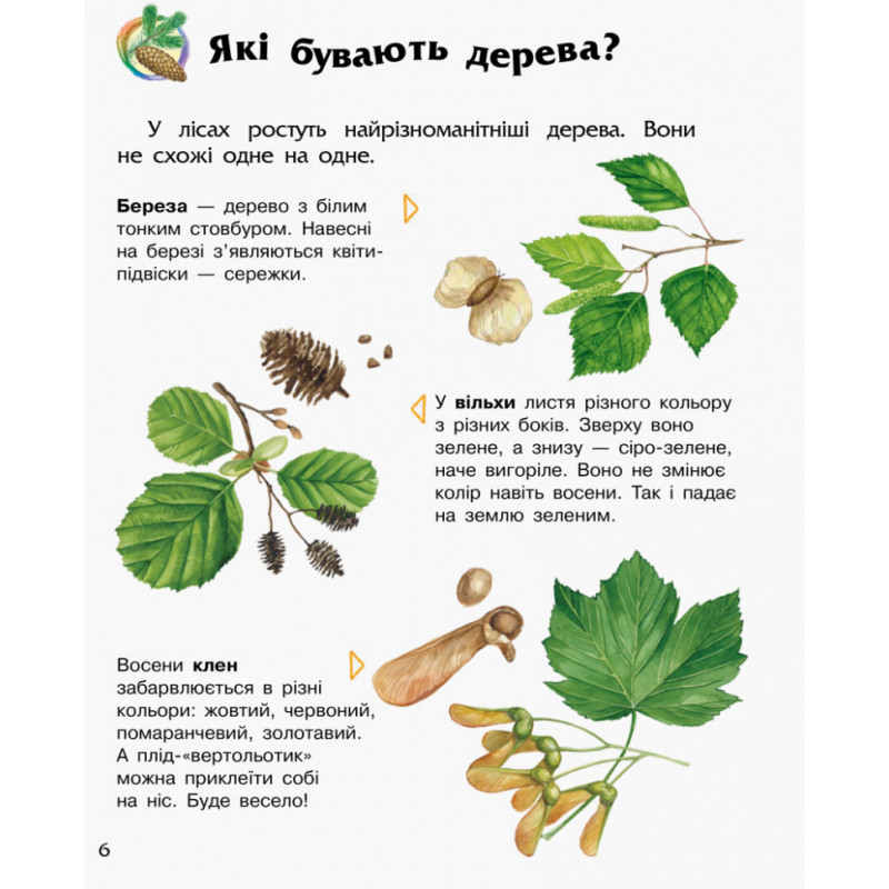 Детская энциклопедия про лес 614016 для дошкольников