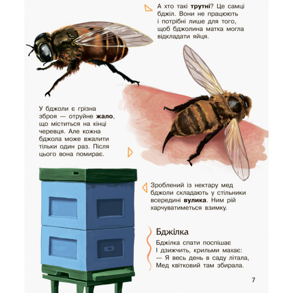 Дитяча енциклопедія про комах 614014 для дошкільнят (614014)