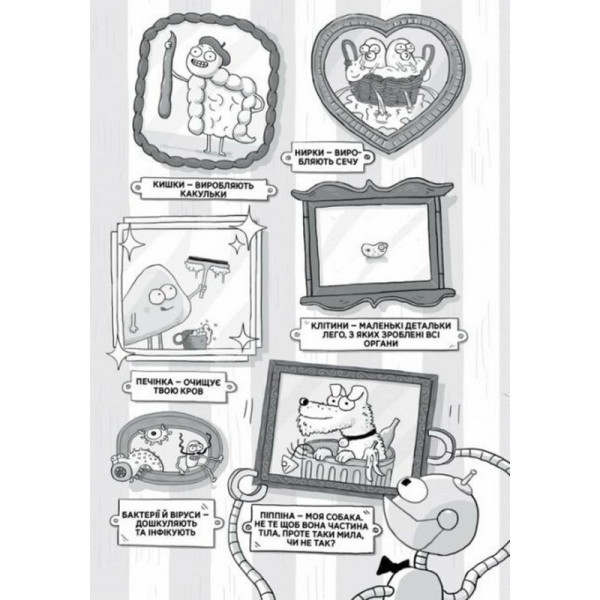 Енциклопедія дошкільника "Анатомія для дітей" 154101 (154101)