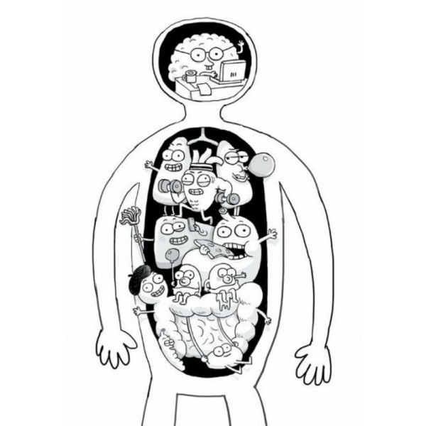 Енциклопедія дошкільника "Анатомія для дітей" 154101 (154101)