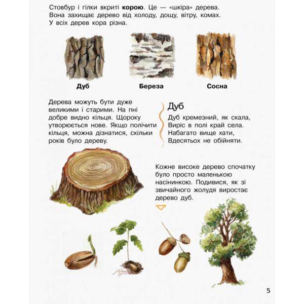 Дитяча енциклопедія про ліс 614016 для дошкільнят (614016)