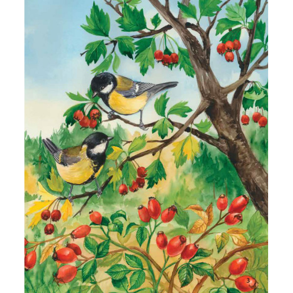 Дитяча енциклопедія про ліс 614016 для дошкільнят (614016)