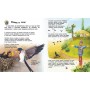 Энциклопедия дошкольника Птицы 614032 для самых маленьких